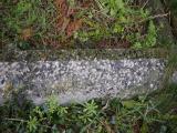 image of grave number 807794